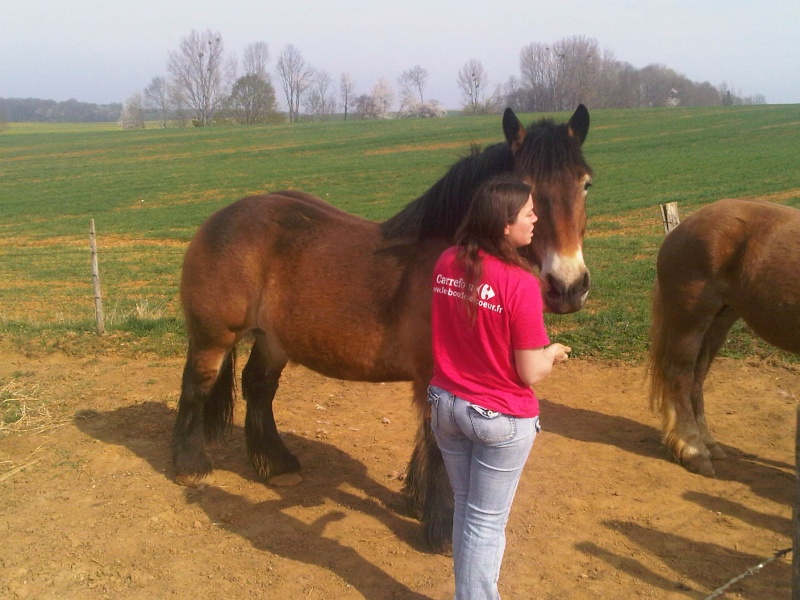 Nenette du Pin - Ardennaise de 11 ans  - dpt 67 Img00218