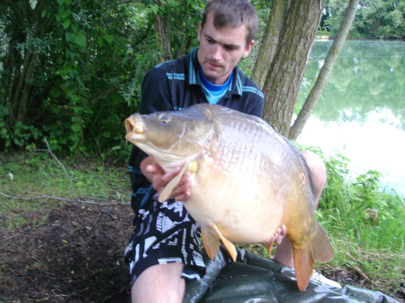 Quelle poisson vous a marquez le plus durant cette année 2011 ? Dsc00567