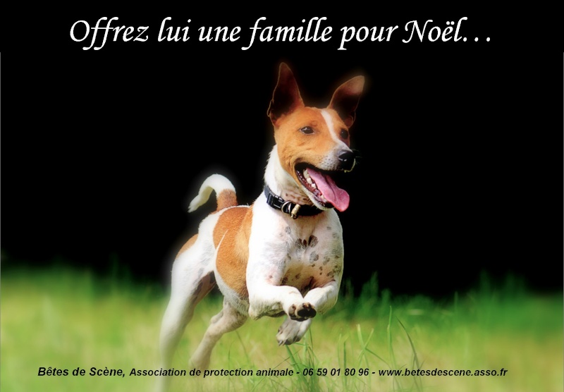 NOUVEAU : AFFICHES BDS ! Affich20