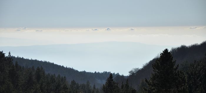 Un dimanche au Ventoux Ven1810