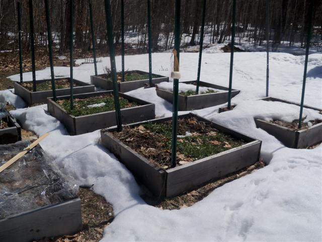 Green manure does not come from cows... 04-06-10