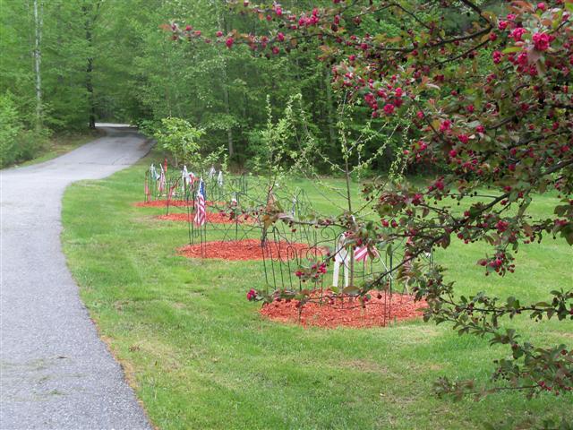 Thinking of adding fruit trees this year.... 05-22-26