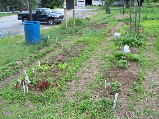 Backyard AND community garden plots? 06-11-18