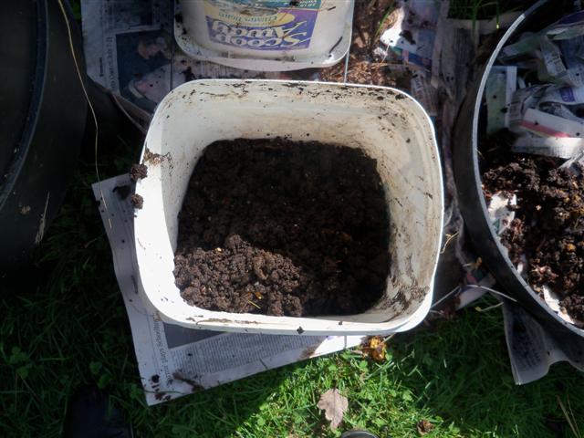 I havested my fall worm compost today! 10-21-12