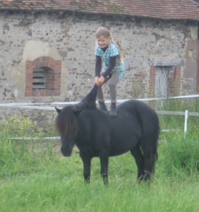 le bonheur est avec Valkyrie d'Athis 2012_215