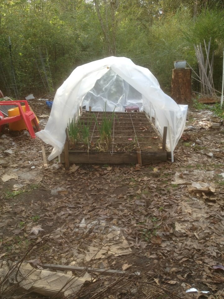 Square Foot Greenhouse Gardeners, Check In, Please! Hoop_h11
