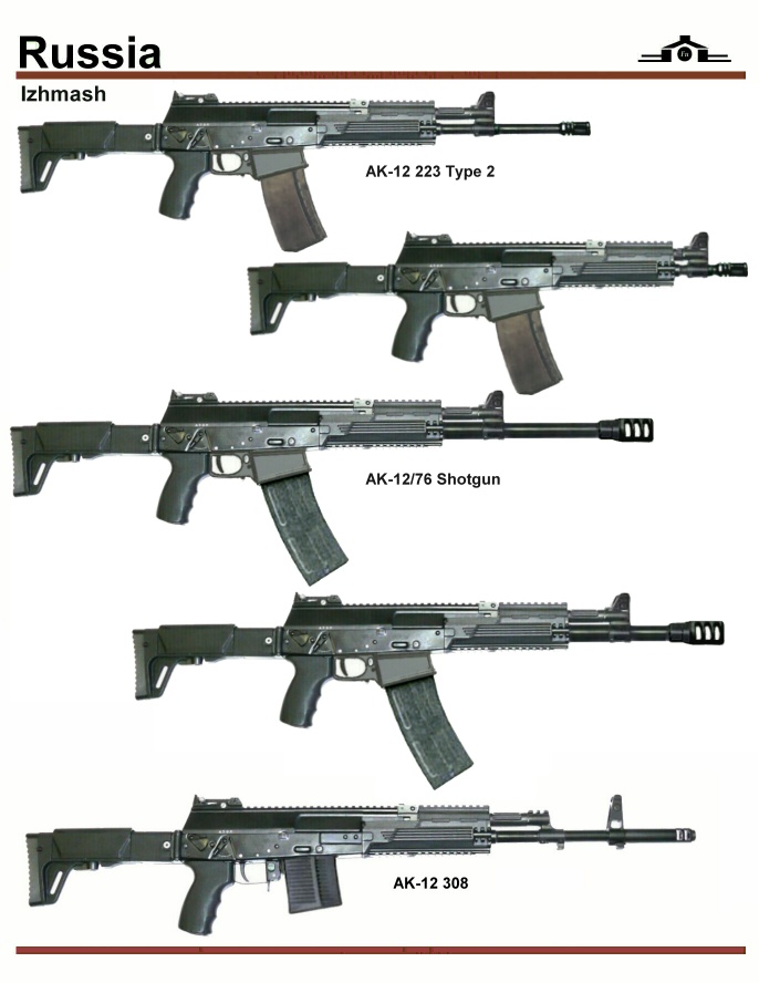 AK-12 Rifle Discussion - Page 7 Sai-6723