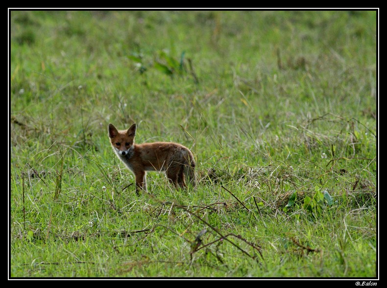 Les ados sont de sortie 2012_032