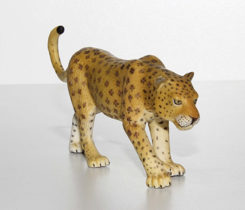 Mojo leopard & panther Img_2112