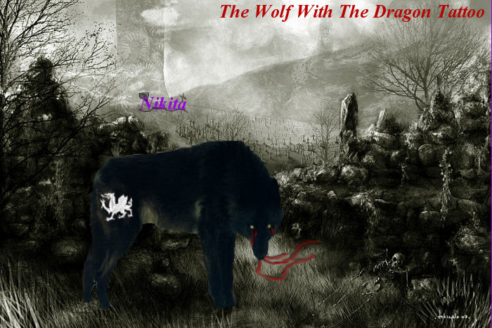 The Wolf With The Dragon Tattoo Castle10