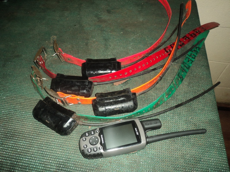 GARMIN DC40  WITH  4 COLLARS  ($1200 O.B.O.) 00910