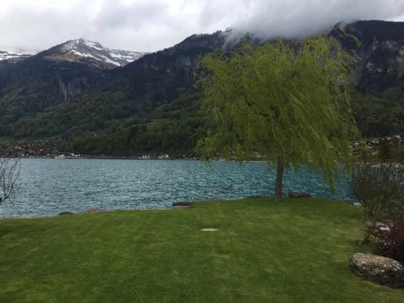 Meeting Brienz 3-5 mai 2019 - avec photos D2e37310