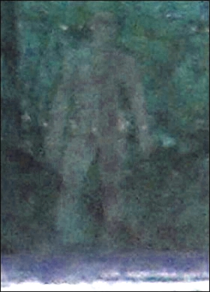 Info ou intox : un fantôme photographié en Angleterre Cefant10