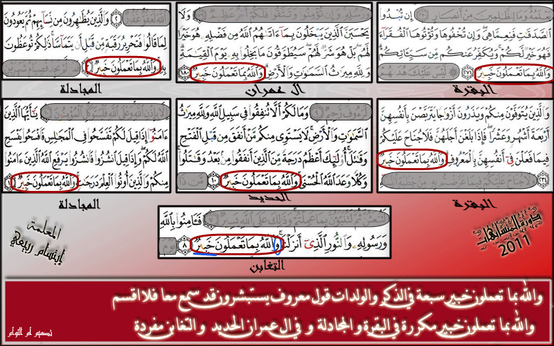 سلسلة دروس في المتشابهات اللفظية في القرءان الكريم....الدرس الرابع عشر  Wa-all10