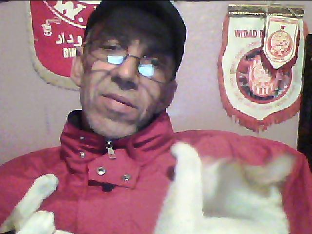 Mon chat PUMA est fou ... mais il raisonne Photo_18