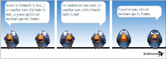 Les blagues du mardi  - Page 22 Bdbird10