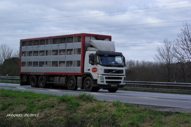 Abattoirs Bigard (29) Imgp1356