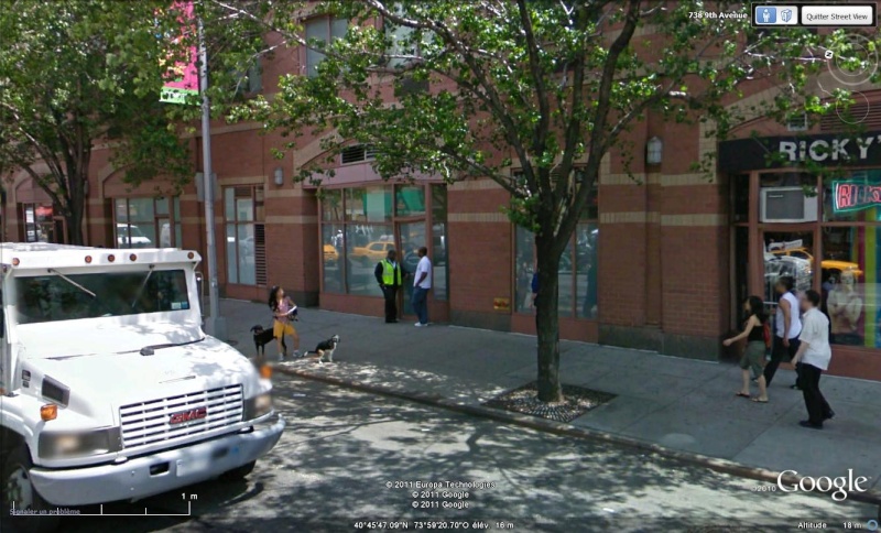 STREET VIEW : Les chiens domestiques dans les cours ou en laisse dans les rues ! Chien10