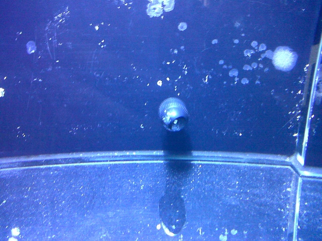 Démarrage d'un Aquamédic 288L Bagles11