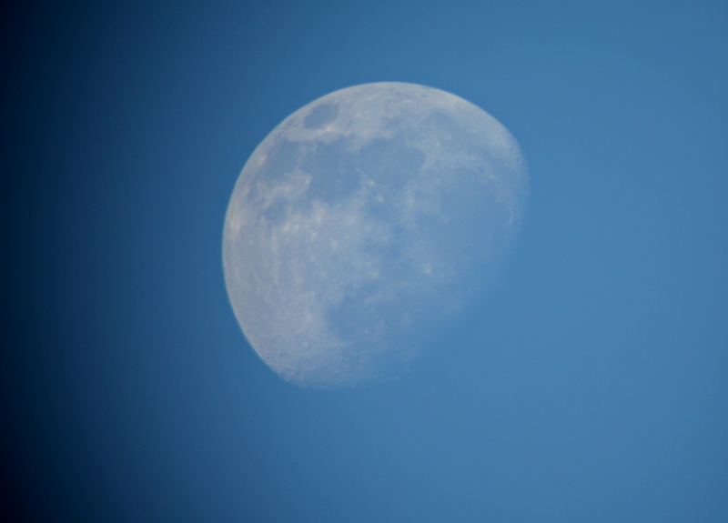 Lady Lune La_lun11