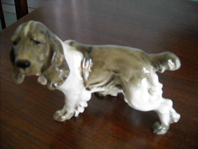 chien porcelaine allemand Chien_12