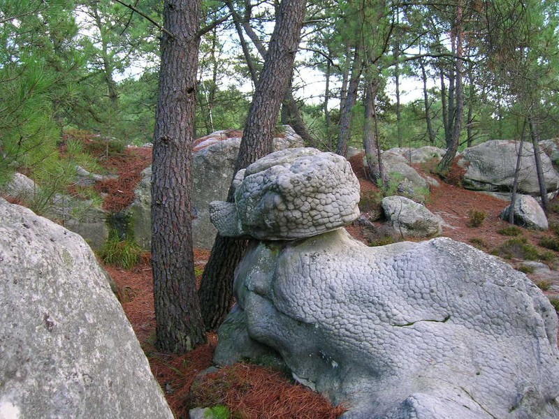 FONTAINEBLEAU 25 BOSSES le dimanche 12 février 73234510