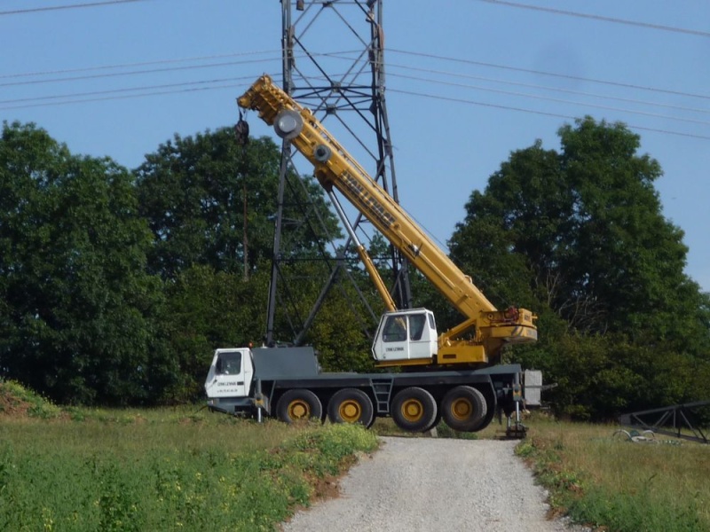Les grues de LYON LEVAGE (Groupe SMMI) (France) Lyon110