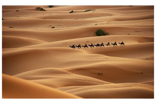 صور من الطبيعة مميزة  Sahara10