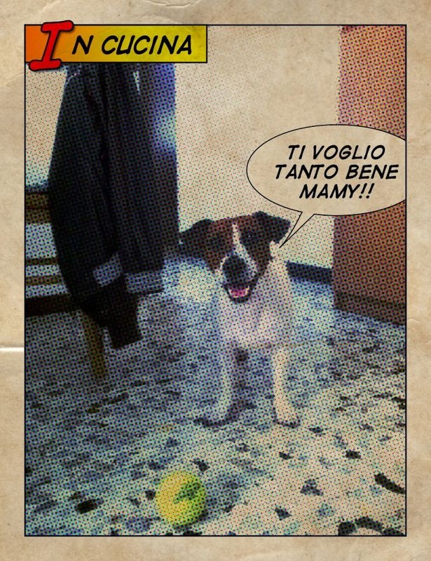 CERCHIAMO DI NON TRATTARE I NOSTRI JACK COME FIGLI! Img_1412