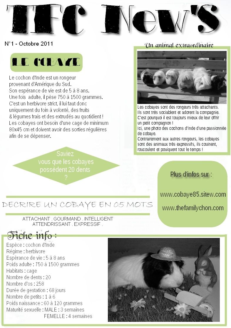 animal expo - Page 3 Fiche_10