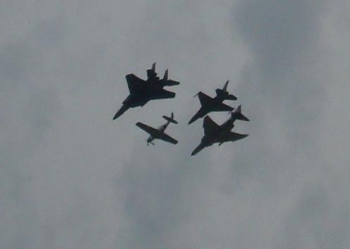 Patrouille insolite Ddddss10