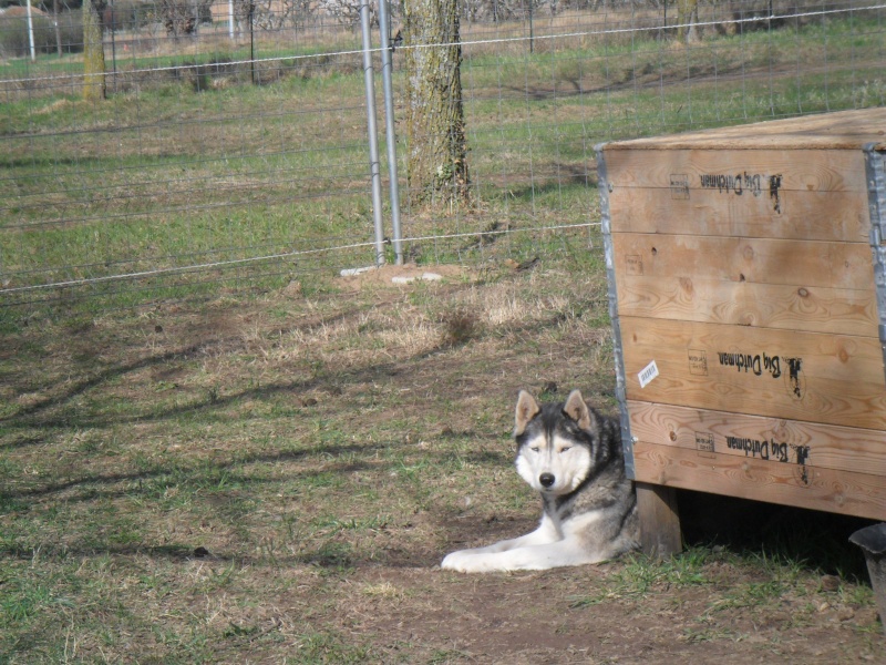 les doudous à Livron sur notre nouveau site - Page 24 1er_jo13