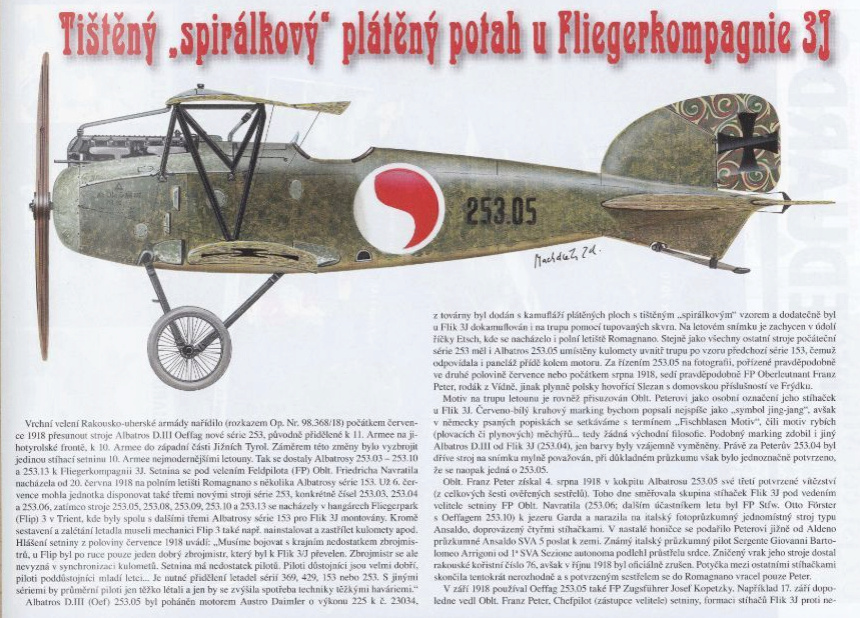 Albatros D.III série 253 Oeffag Eduard 1/48 Canvas10