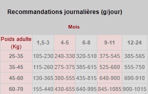 bouvier - Ration Journalière chiot Bouvier Bernois Ration10