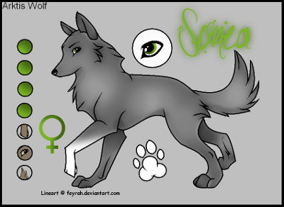 Anfangswolf - Seite 5 Sonea10