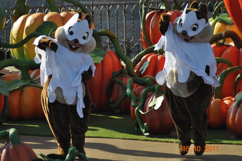 halloween - Photos avec les Personnages Disney - Page 37 Dsc_0112