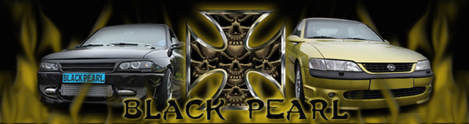 Black Pearl Banner Banner32