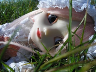 [JUN PLANNING / GROOVE] Pullip - Page 5 Pa150018