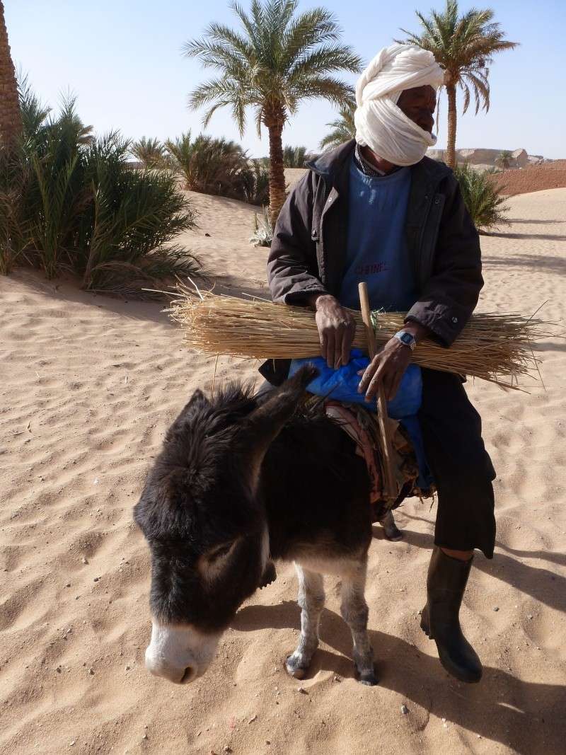 sahara...janvier 2012 et janvier 2013 P1000413