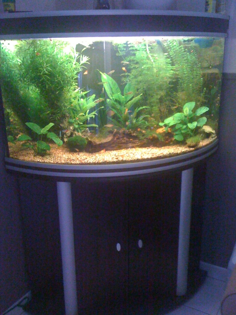 [VENDS] aquarium aquatlantis corner 100 [80 Somme] Img_0415