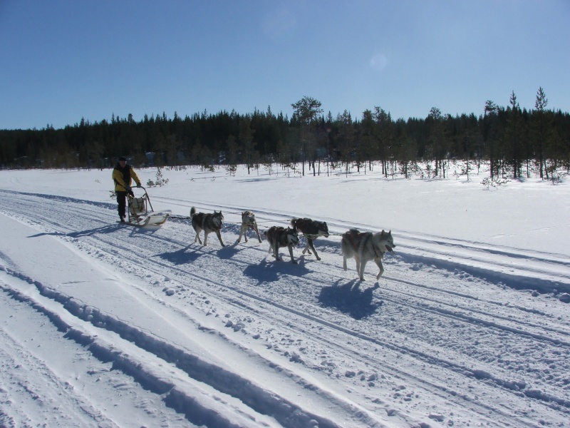 Quelques photos Laponie Finlandaise Fxcd0012