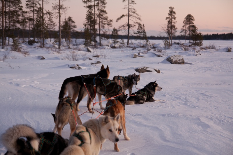 Quelques photos Laponie Finlandaise Img_5210