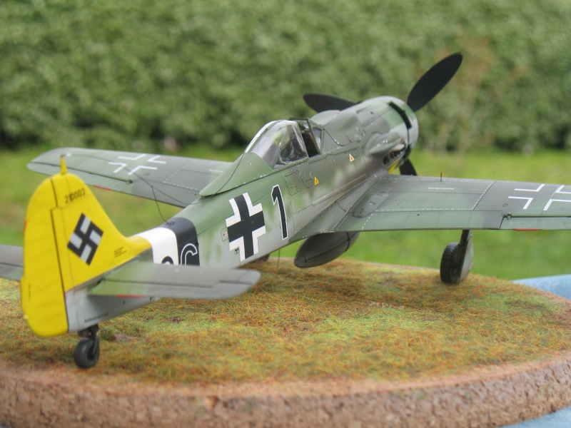 FW 190 D9 Hans Dortenmann jg 26 1945 Img_0510