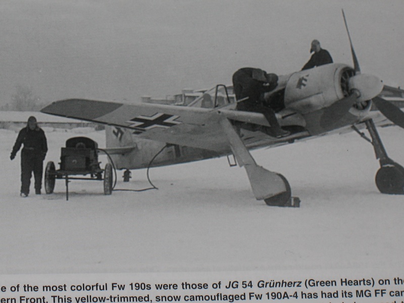 [Italeri] Focke-Wulf Fw 190F-8/R3 1/48  Img_8250