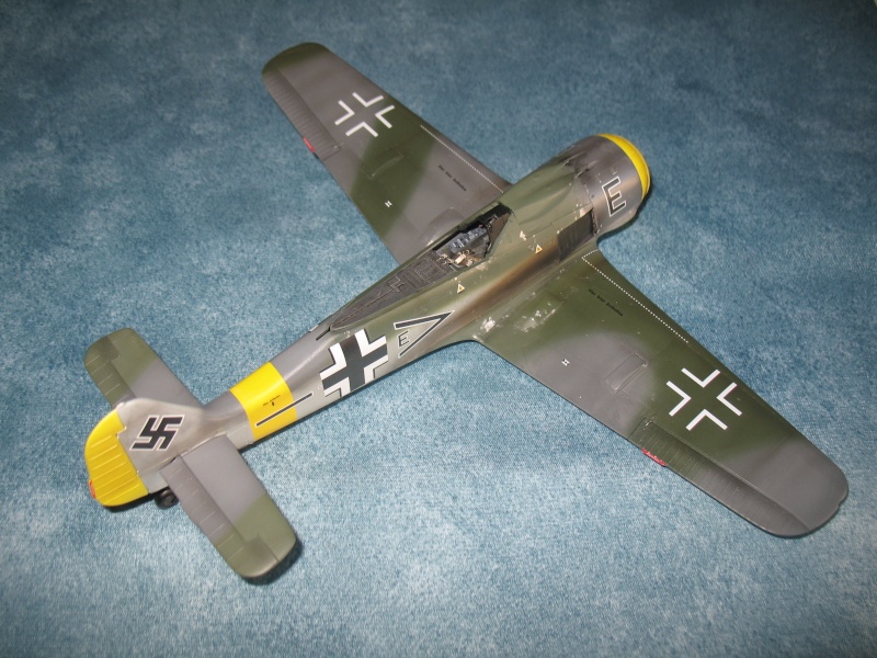 Focke-Wulf Fw 190F-8  [Hasegawa] 1/48 - Page 2 Img_9112