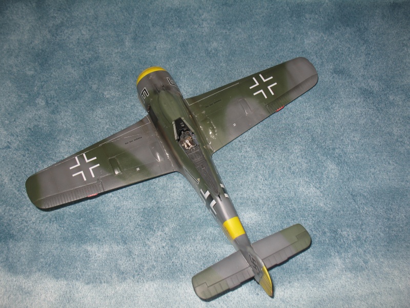 Focke-Wulf Fw 190F-8  [Hasegawa] 1/48 - Page 2 Img_9115