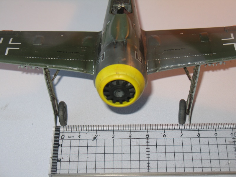 Focke-Wulf Fw 190F-8  [Hasegawa] 1/48 - Page 2 Img_9124