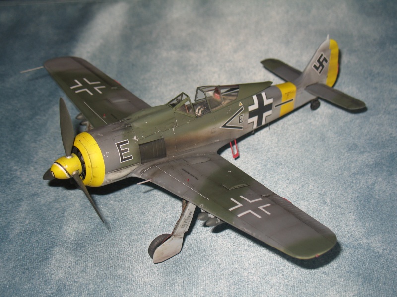 Fw 190 F-8 Hasegawa  Img_9218
