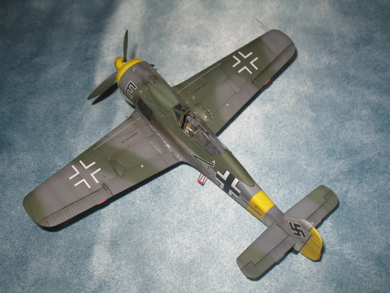 Fw 190 F-8 Hasegawa  Img_9222