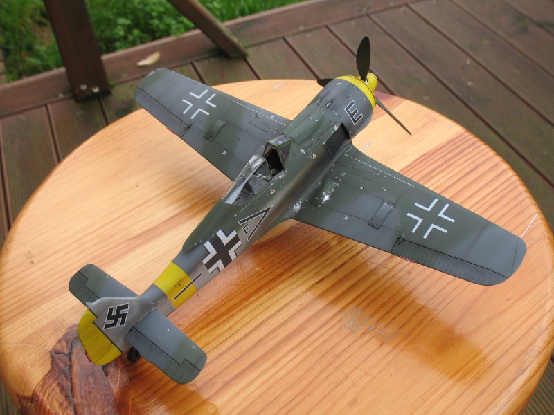 Fw 190 F-8 Hasegawa  Img_9228